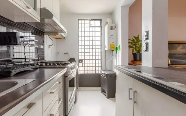 Ave Ámsterdam at Parque México