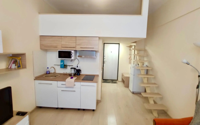 ZenApart на улице Гостиничная 10/5