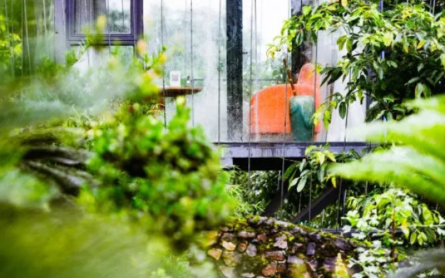 Nanshan Yuanqi Guesthouse – Outside – Chongqing