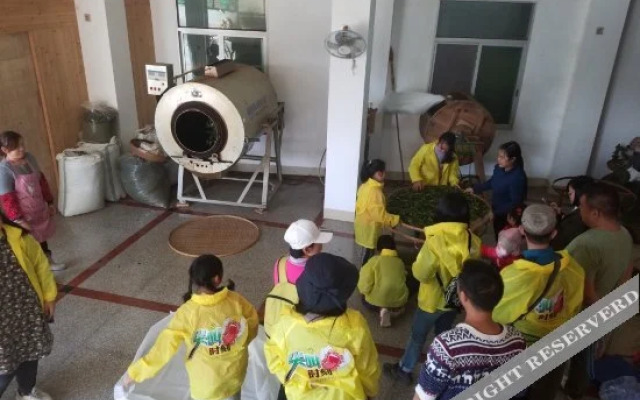 Floral Luxury Tea House (Nanjing Tulou)