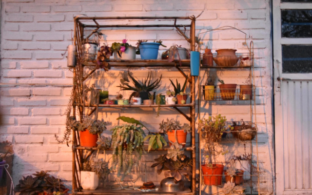 Pajaros Volando Hostel