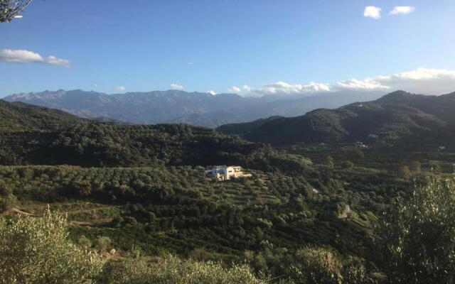 Olive House by MediterraneanVillas