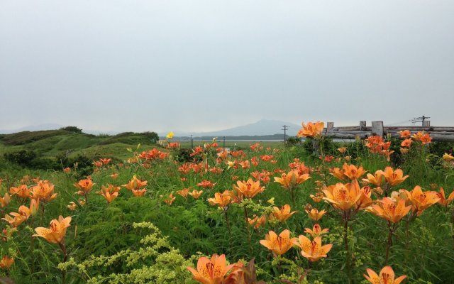 Koshimizu Hana Kotori Youth Hostel