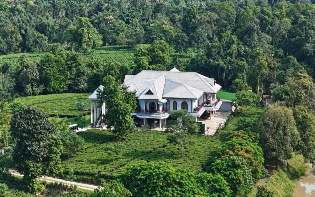 Vaani Greens Wildlife Resort Kaziranga
