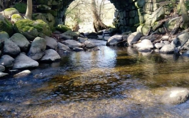 The Garden Hill Hotel