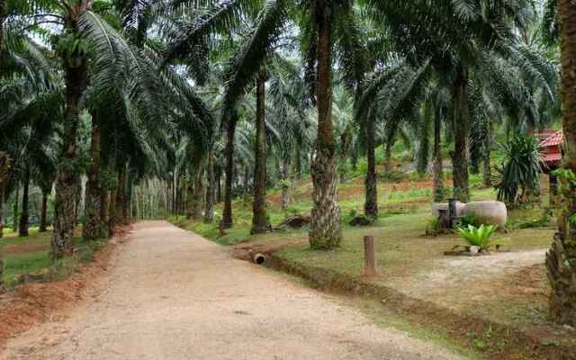 Tonpalm Farmstay