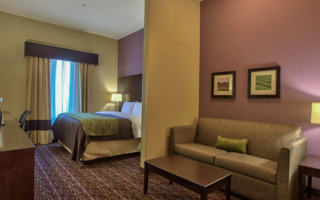 Comfort Inn & Suites Dothan East
