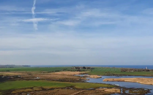 Strandläufer G-13-2