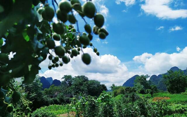 Yangshuo Coco Garden Hotel