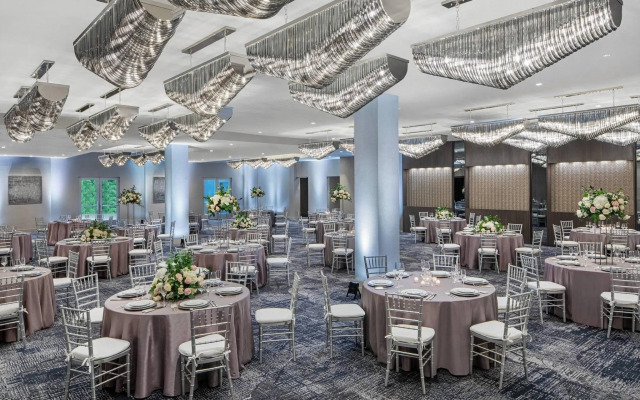 Envue, Autograph Collection