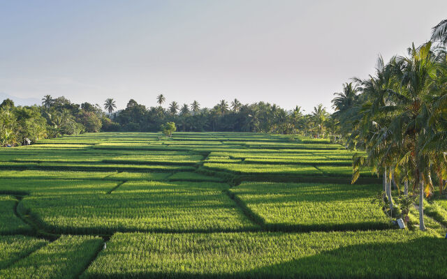 Luxe Villas Bali