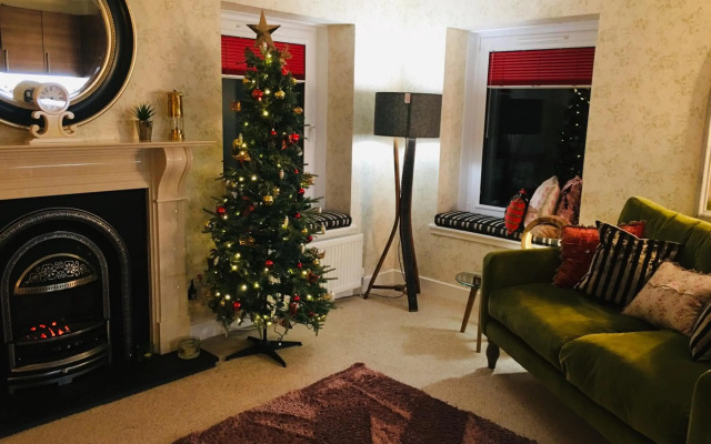 The Little Beech Tree