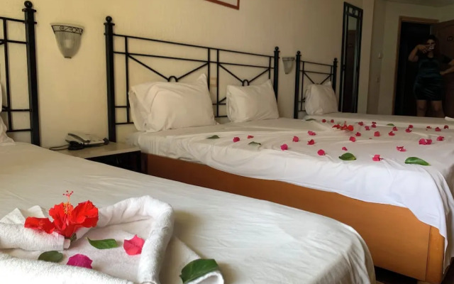Sol Palmeras Beach - Family Hotel