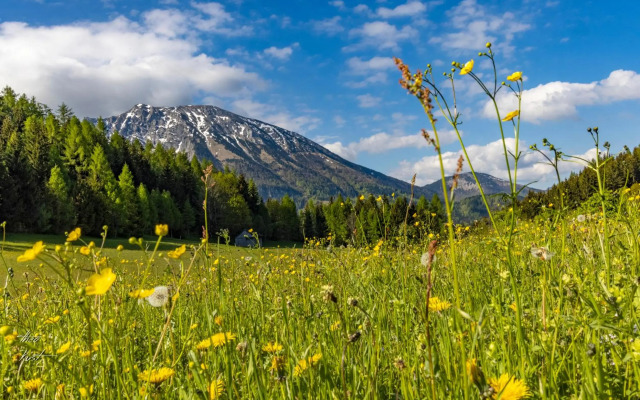 Das Haus am Berg: Nestelberg17