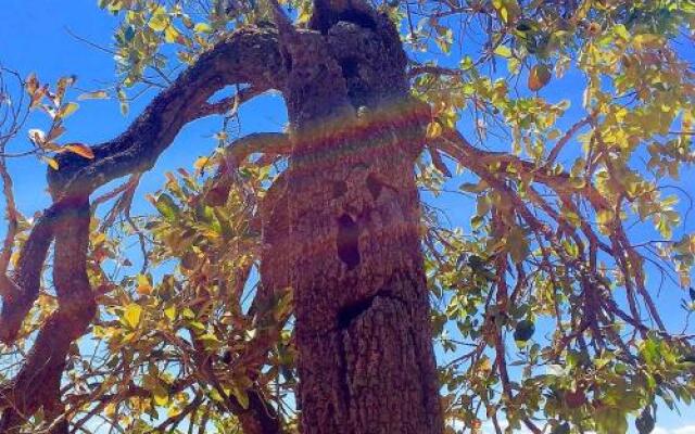 Mar Doce Boutique Hotel