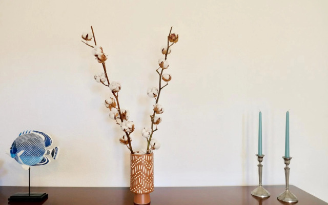 Peaceful & Spacious Apt with Parking & Queen Bed