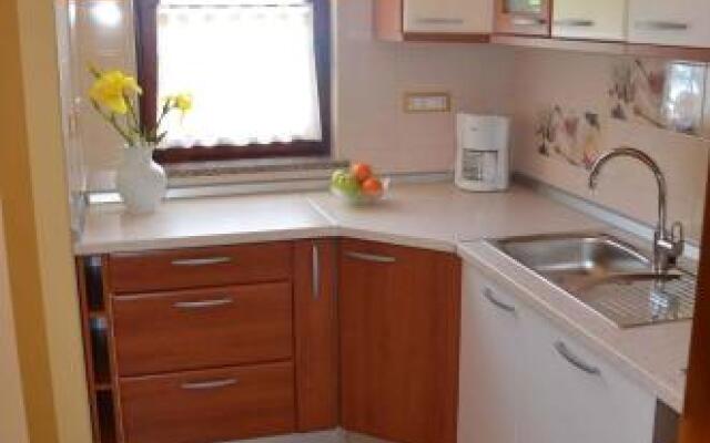 Holiday home in Tinjan/Istrien 10008