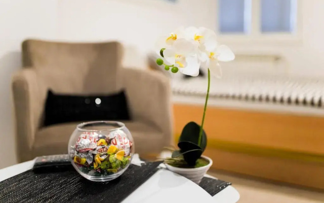 Hostel Herz