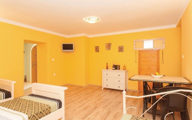 Awesome Apartment in Omisalj With