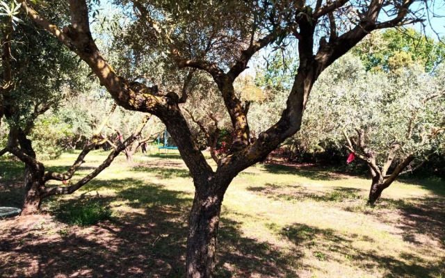 Villa-tuscany&sea View-15min Nearby Beach