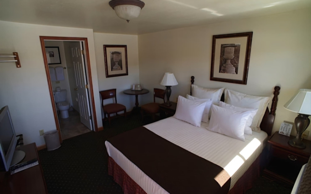 Hotel Trojane