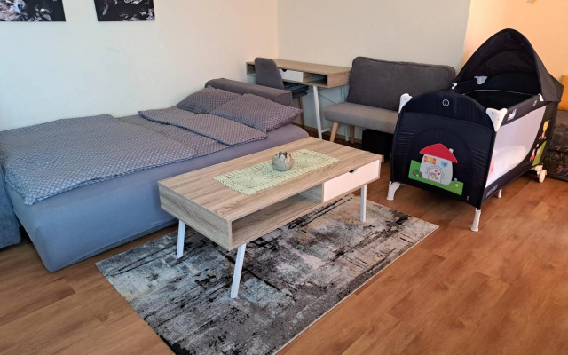 Apartma Moravske Toplice 16