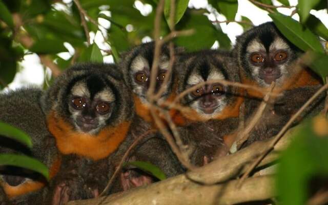 Pousada Do Rio Mutum