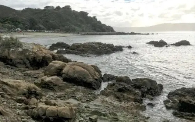 Karaka Bays
