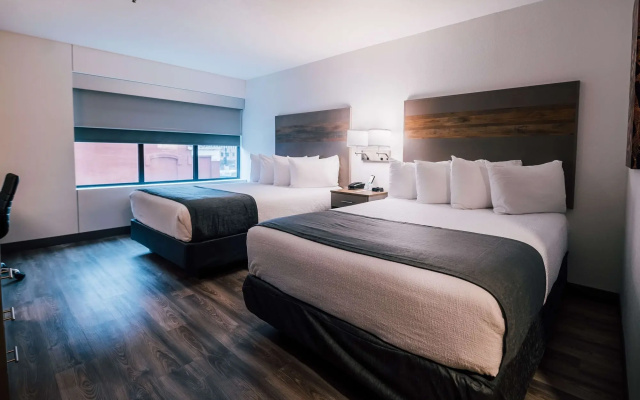 Best Western Plus Waterloo & Cedar Falls