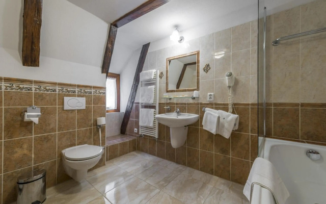 Hotel Cerny Slon