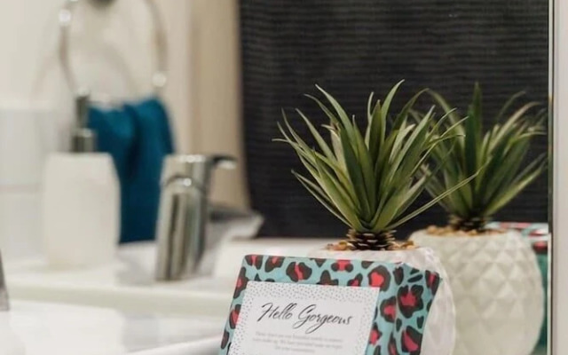 Paradiso on Bent - Netflix - Wifi - City life