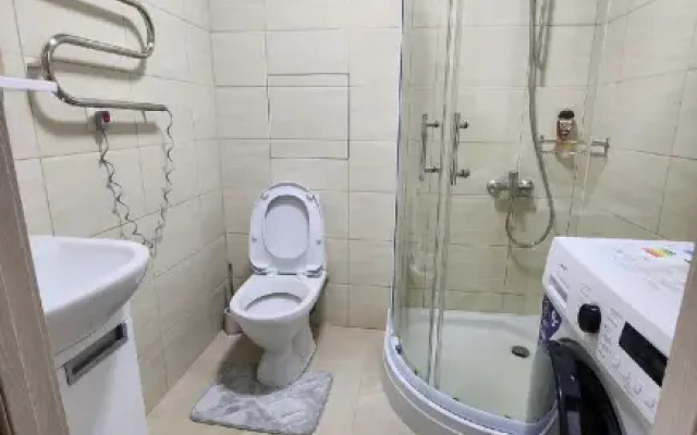 Апартаменты на улице Башидзе 10