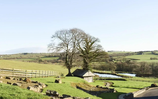 Tan-Y-Dderwen