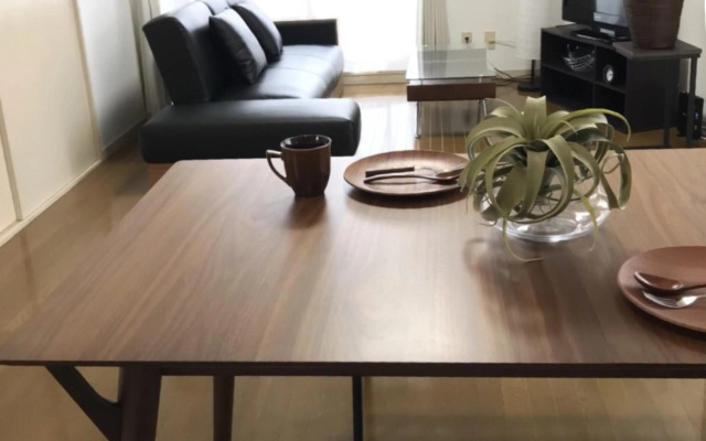 PEARL KAMINOBORI F Plus