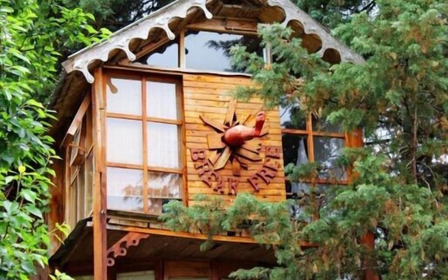 Sycamore Avenue Treehouses