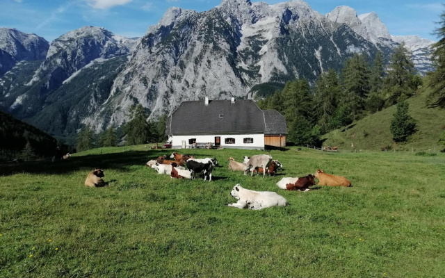 Gausrab