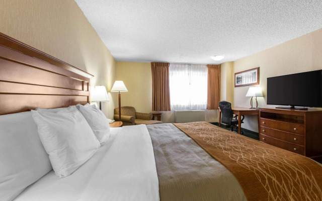 Comfort Inn Near Vail Beaver Creek