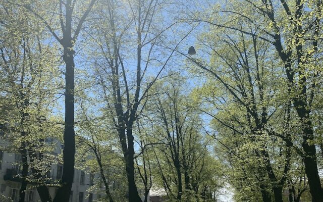 Апарт-отель «Новая Голландия»