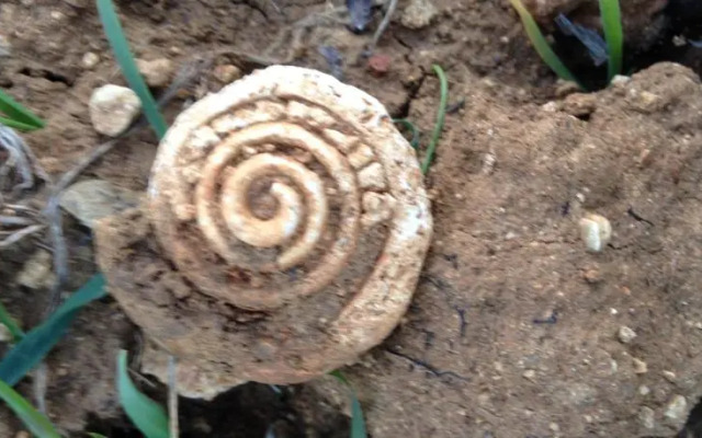 Rascioni & Cecconello