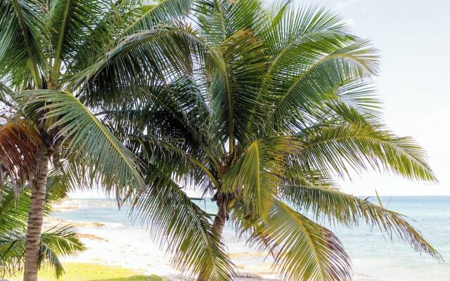 Angelina 28 Beachfront and Family Apartments - Modern and Relaxing Long Stays (20 min from Cancun Airport)