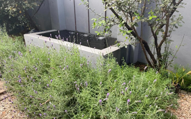 46 on Allcock Luxury Guest Apartment