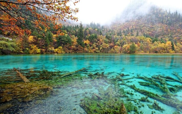 Traveler's Hostel Jiuzhaigou