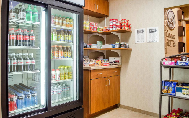 Comfort Suites Lancaster Amish Country