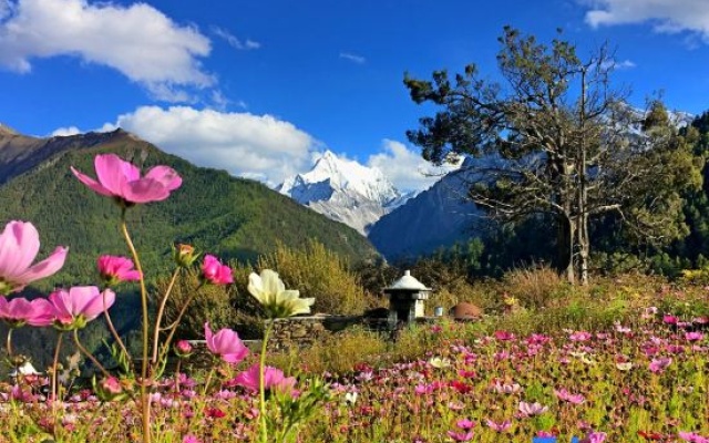 Yading Jianshan Hotel — 3-star hotel in Daocheng
