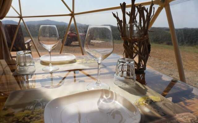 Azienda Agricola Pietra Serena B&B