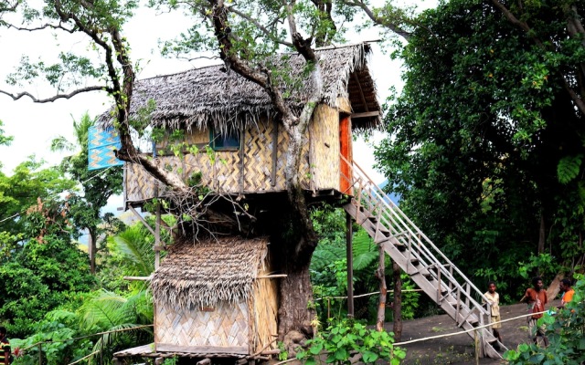 Volcano Tree Venture Bungalows