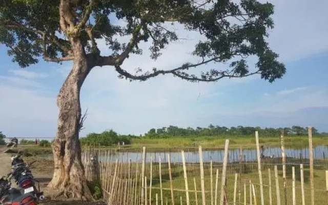 Homestay By the Tea Garden Dibrugarh