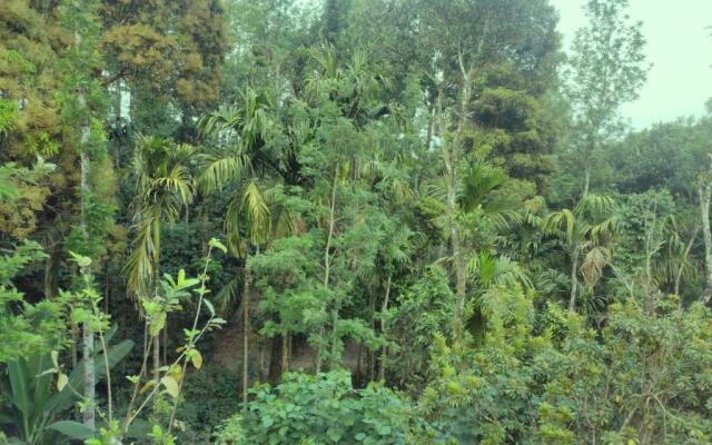 Spices Garden Homestay & Plantation Tour