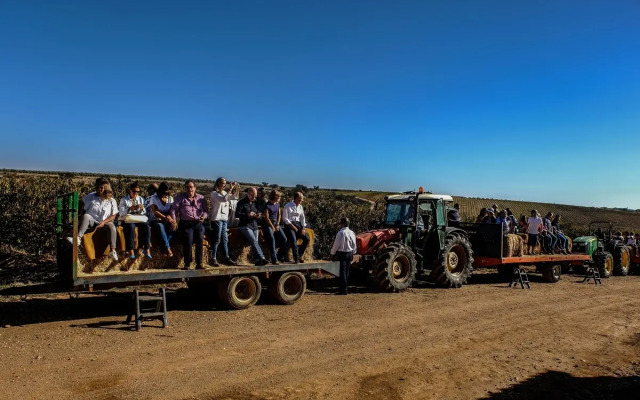 Vila Gale Alentejo Vineyards (Clube de Campo)