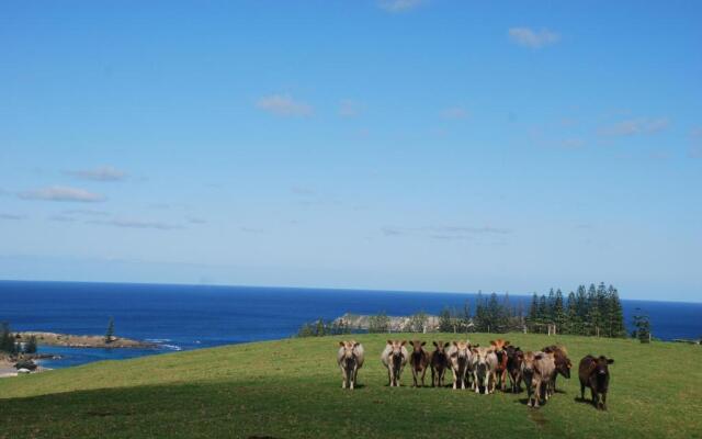 Coast Norfolk Island